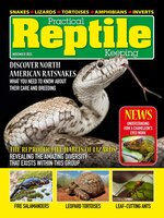 Practical Reptile Keeping